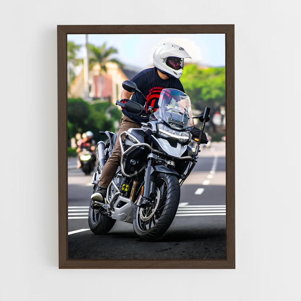 Poster Tigre Époustouflant – affiche Triumph (vue 5)